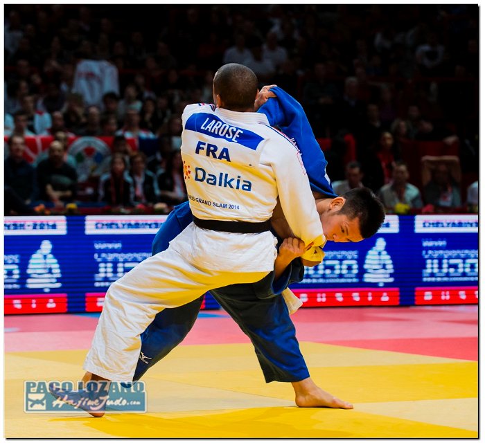 Paris 2014 by P.Lozano cat -66 kg_PLM1646